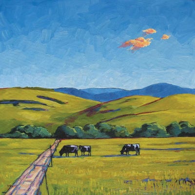 Boulder County Cows by Patty Baker canvas print