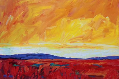 Yellow Sky Over Red Fields by Patty Baker art print