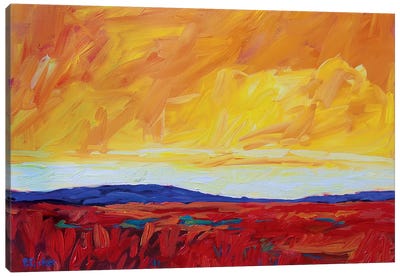 Yellow Sky Over Red Fields Canvas Art Print - Patty Baker