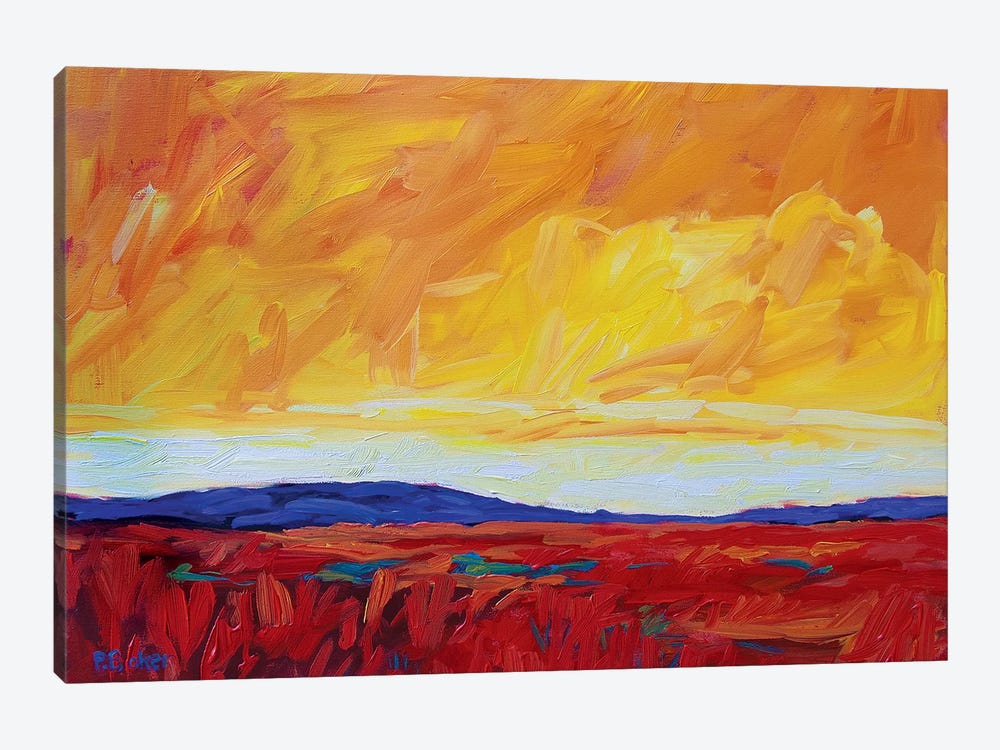 Yellow Sky Over Red Fields by Patty Baker 1-piece Art Print