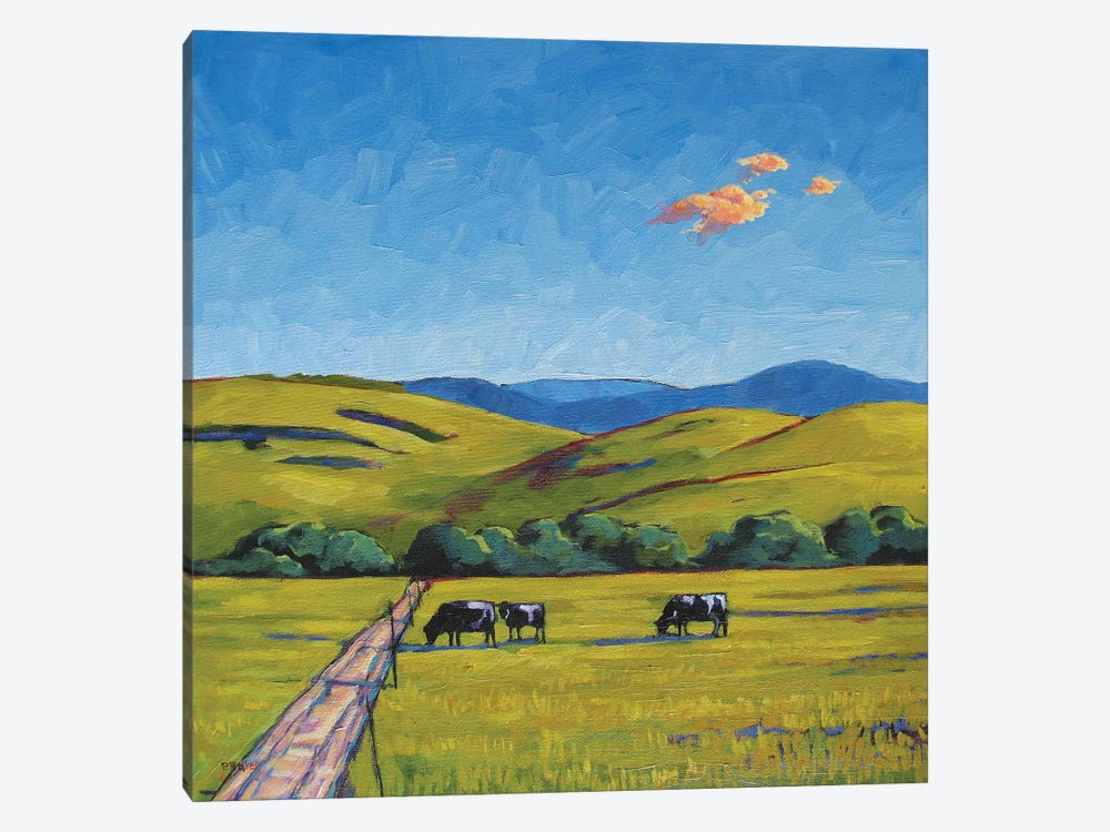 Boulder County Cows by Patty Baker 1-piece Canvas Art