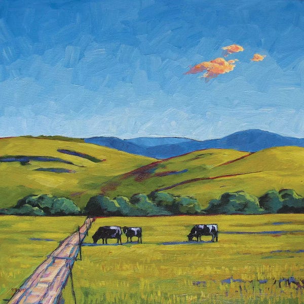 Patty Baker: Boulder County Cows by Patty Baker
