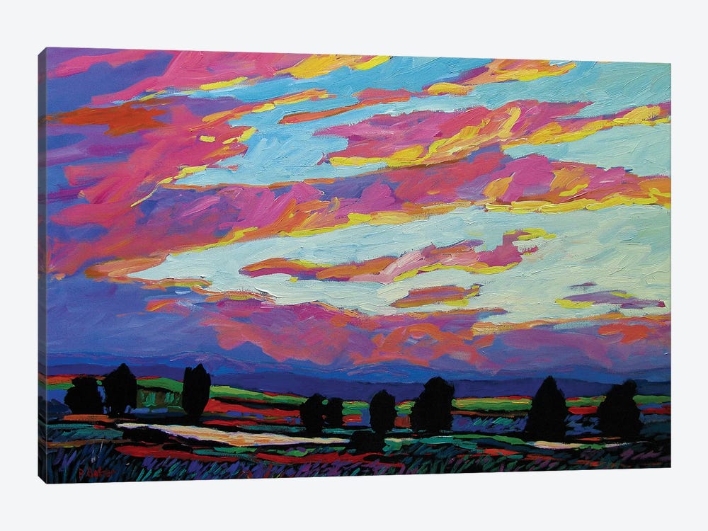 Boulder Sunset by Patty Baker 1-piece Art Print
