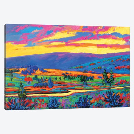 Colorado Fauve Landscape Canvas Print #PTB26} by Patty Baker Canvas Art