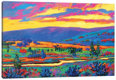 Colorado Fauve Landscape Canvas Art Print - Pops of Pink