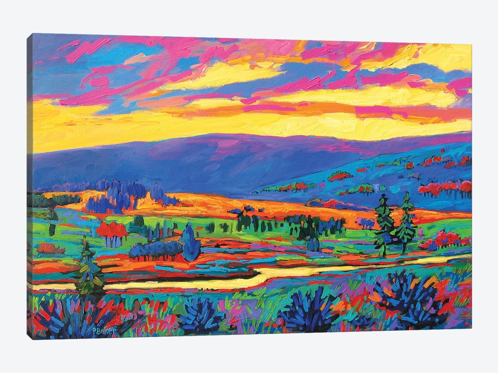 Colorado Fauve Landscape by Patty Baker 1-piece Art Print
