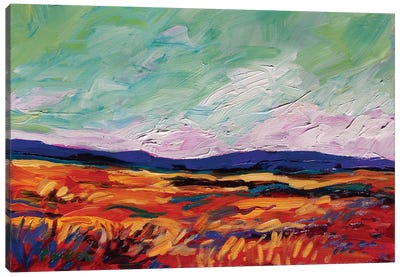 Colorado Landscape  Canvas Art Print - Patty Baker