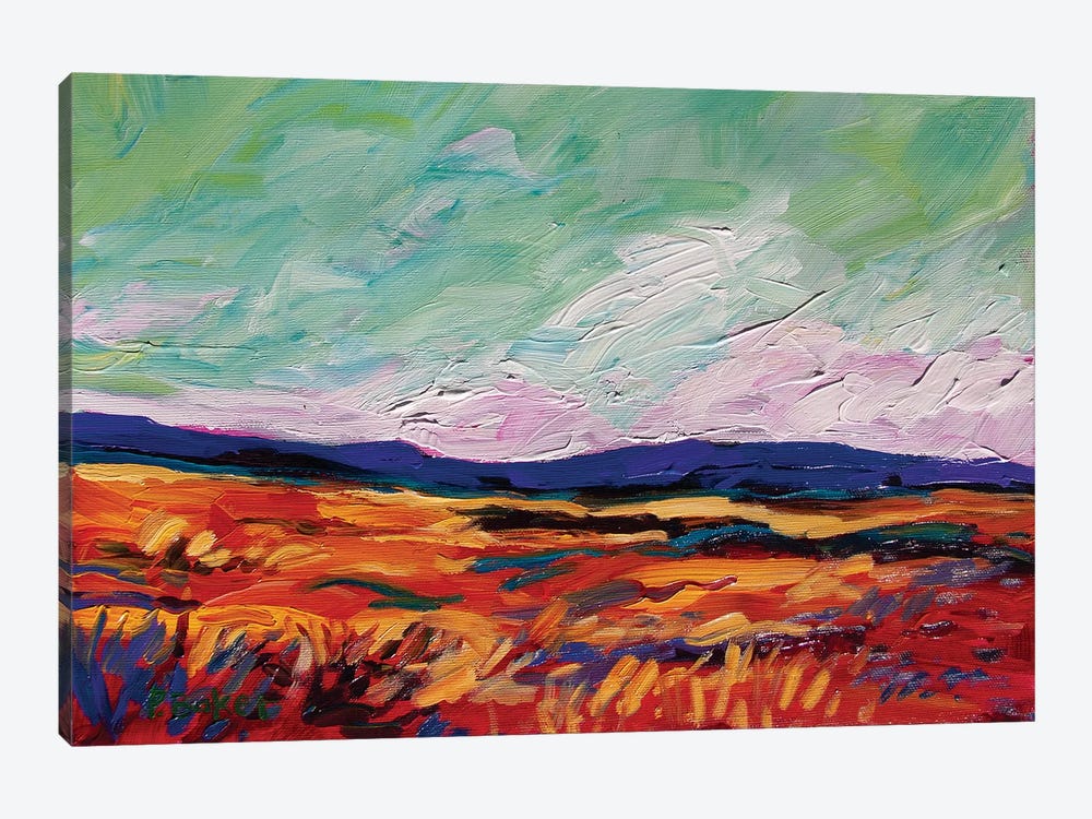 Colorado Landscape  by Patty Baker 1-piece Canvas Art Print