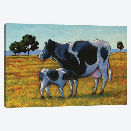 Cow and Calf Canvas Print #PTB29} by Patty Baker Art Print