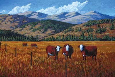 Curious Cows in the San Juan Valley, Colorado by Patty Baker art print