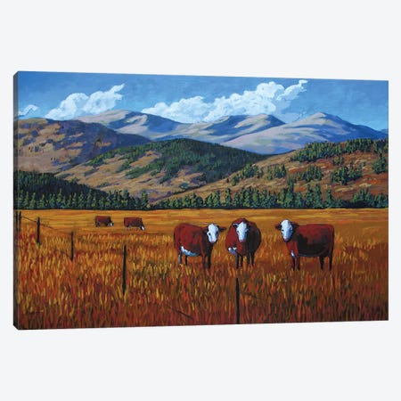 Curious Cows in the San Juan Valley, Colorado Canvas Print #PTB36} by Patty Baker Canvas Print