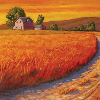 Farm House in Nebraska by Patty Baker art print