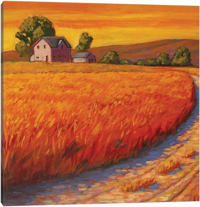 Farm House in Nebraska Canvas Art Print - Nebraska Art