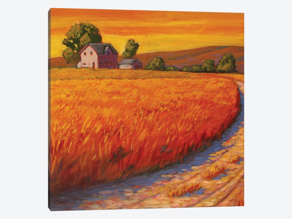 Farm House in Nebraska by Patty Baker 1-piece Canvas Art Print