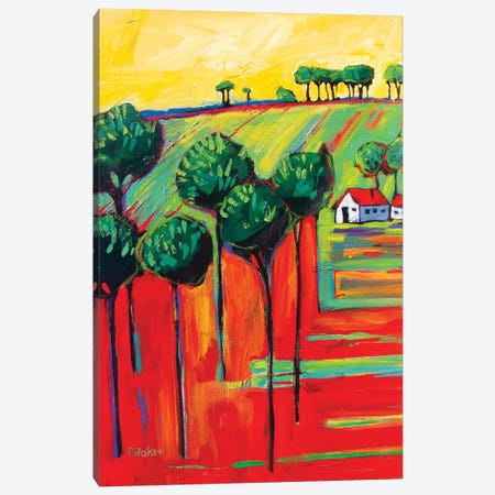 Fauve Landscape II Canvas Print #PTB42} by Patty Baker Canvas Art Print