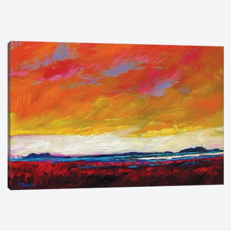 Firey Sky over New Mexico Desert Canvas Print #PTB45} by Patty Baker Canvas Art