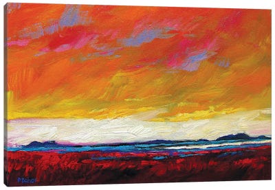 Firey Sky over New Mexico Desert Canvas Art Print - Gestural Skies