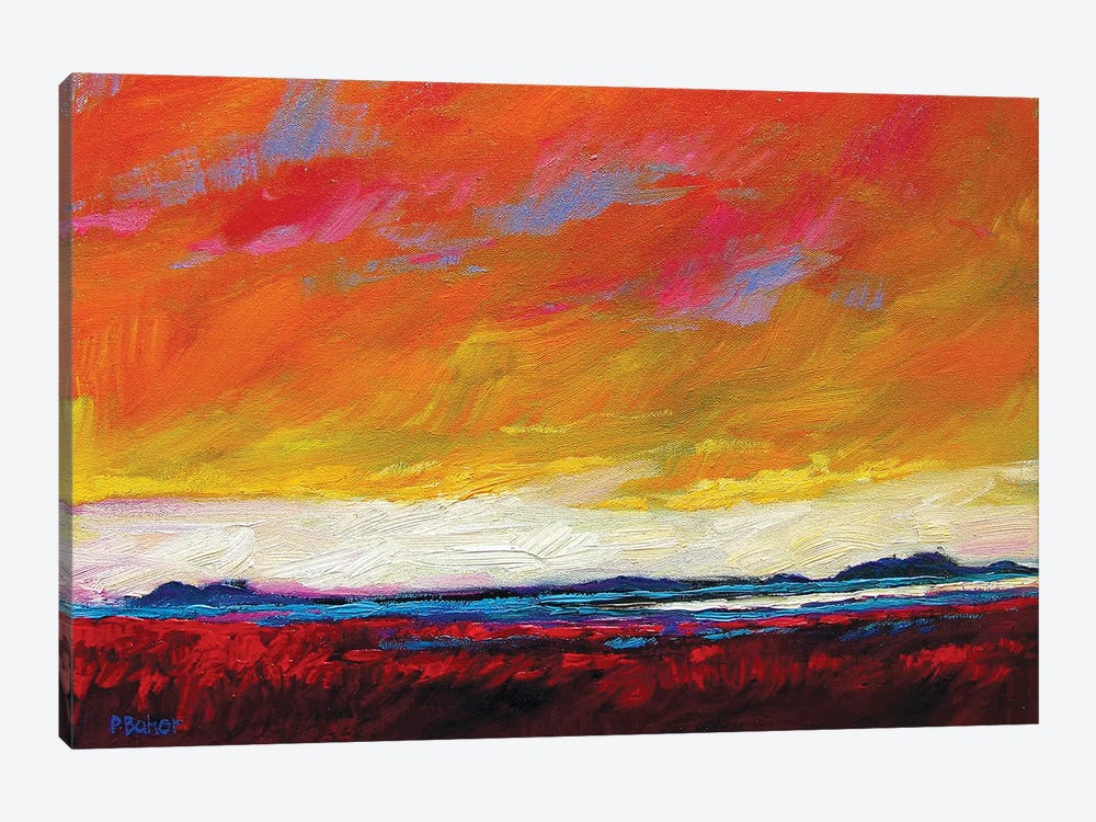 Firey Sky over New Mexico Desert by Patty Baker 1-piece Canvas Art