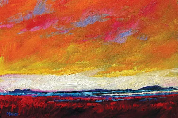Gestural Skies: Firey Sky over New Mexico Desert by Patty Baker