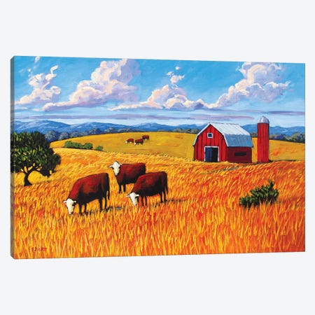 Grazing Cows and Barn Canvas Print #PTB51} by Patty Baker Canvas Art