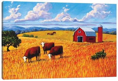 Grazing Cows and Barn Canvas Art Print - Patty Baker