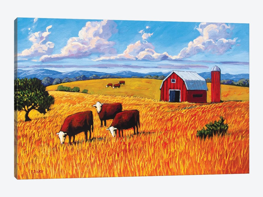 Grazing Cows and Barn by Patty Baker 1-piece Art Print