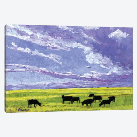 Grazing Cows under Big Clouds Canvas Print #PTB53} by Patty Baker Canvas Artwork