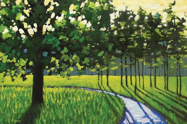 Patty Baker: Green and Shadows II by Patty Baker