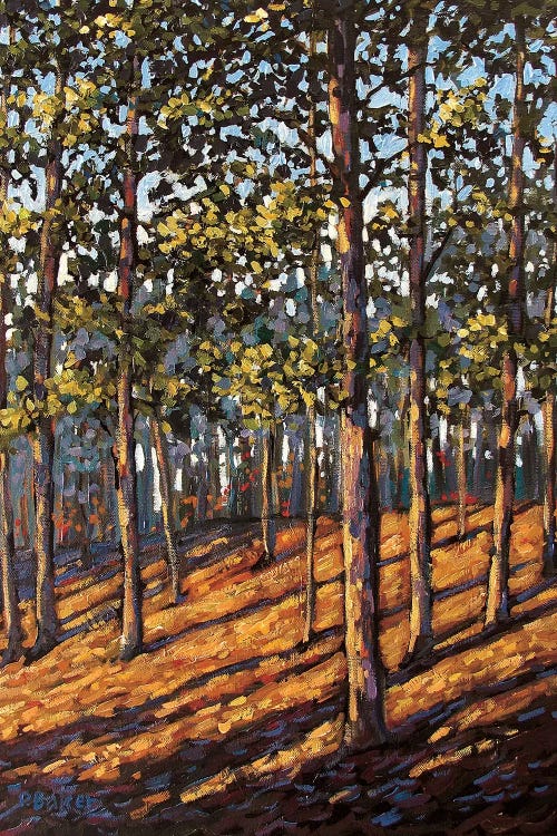 Late Day Light in the Hudson Valley Woods by Patty Baker wall art