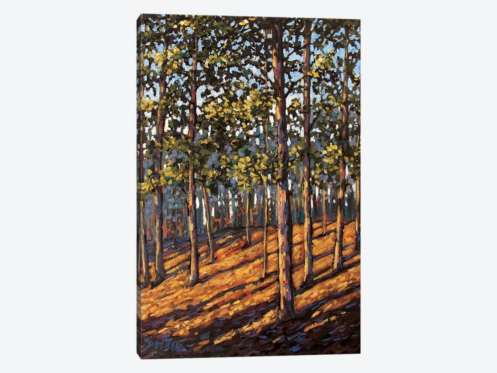 Late Day Light in the Hudson Valley Woods by Patty Baker 1-piece Art Print
