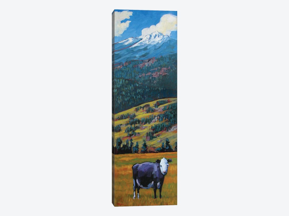 Lone Cow in the San Juan Valley by Patty Baker 1-piece Canvas Art Print