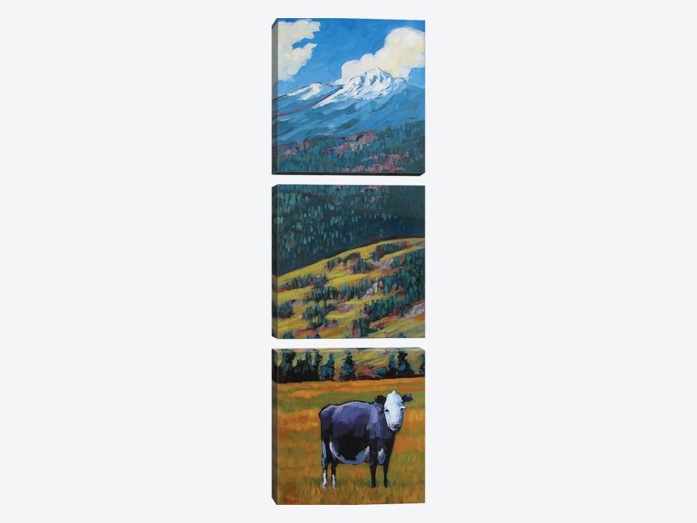 Lone Cow in the San Juan Valley by Patty Baker 3-piece Canvas Art Print