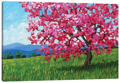 Lone Pink Blossom Tree Canvas Art Print - Patty Baker