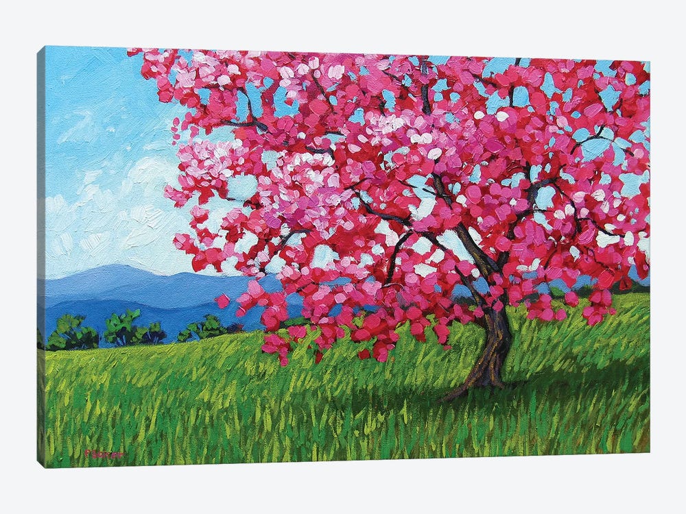 Lone Pink Blossom Tree by Patty Baker 1-piece Canvas Art