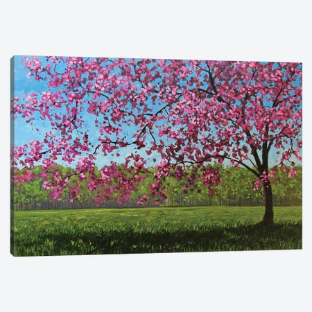 Afternoon Pink Blossoms Canvas Print #PTB7} by Patty Baker Art Print