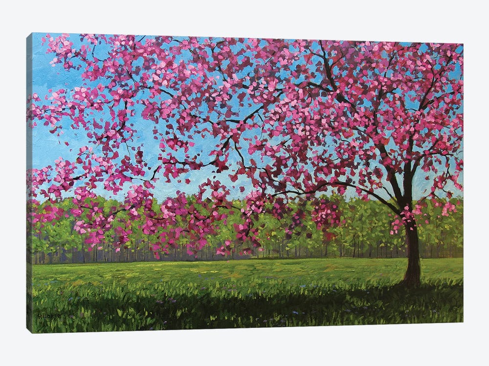 Afternoon Pink Blossoms by Patty Baker 1-piece Canvas Wall Art
