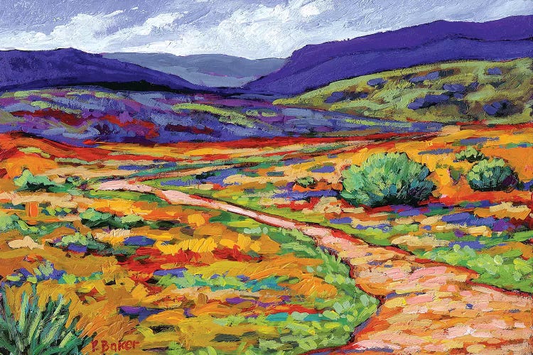 New Mexico Landscape