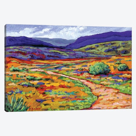 New Mexico Landscape Canvas Print #PTB84} by Patty Baker Canvas Art