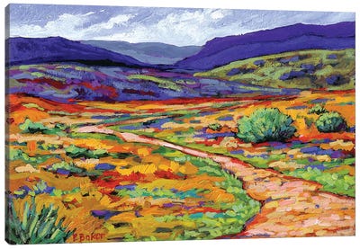 New Mexico Landscape Canvas Art Print - Trail, Path & Road Art
