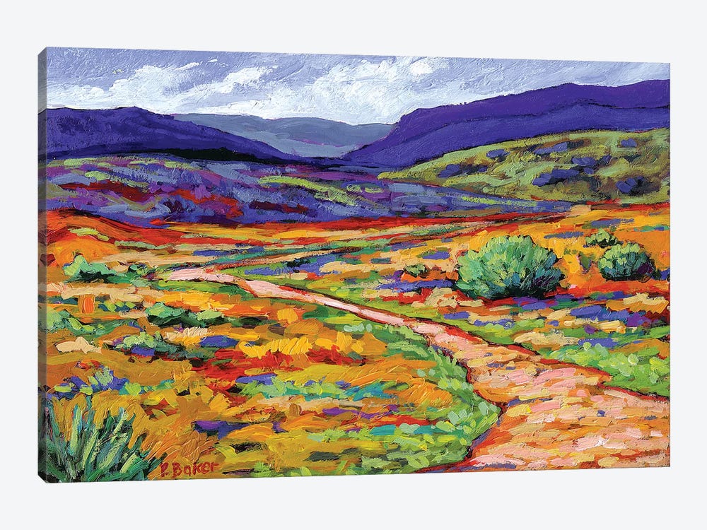 New Mexico Landscape by Patty Baker 1-piece Canvas Art Print
