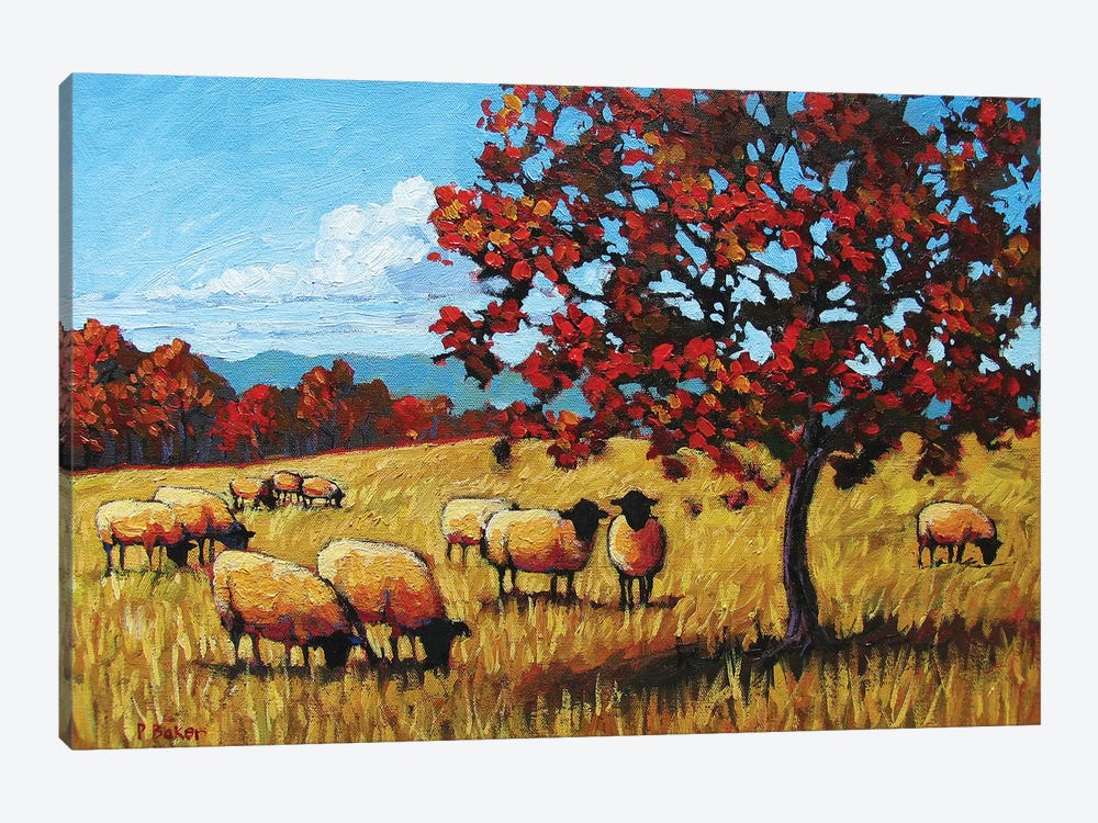 Autumn Grazing Sheep by Patty Baker 1-piece Art Print