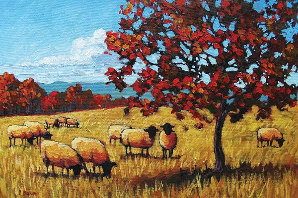 Patty Baker: Autumn Grazing Sheep by Patty Baker