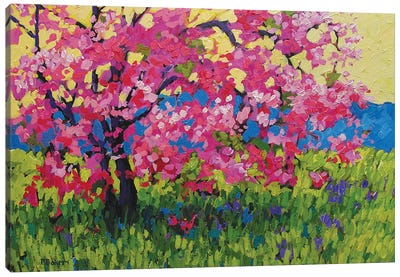 Pink Blossom Tree with Yellow Sky and Blue Mountains Canvas Art Print - Patty Baker
