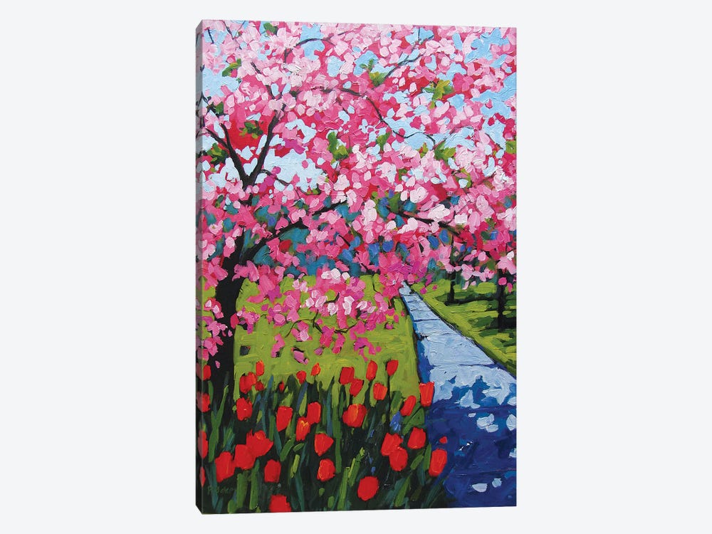 Pink Blossoms and Red Tulips by Patty Baker 1-piece Canvas Art Print