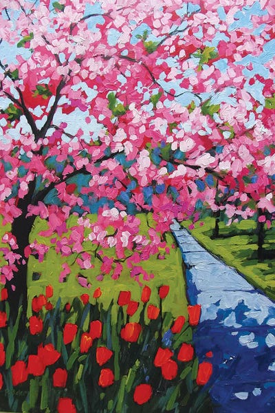 Cherry Blossoms: Pink Blossoms and Red Tulips by Patty Baker