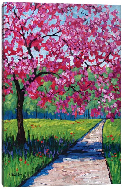 Pink Blossoms and Shadows II Canvas Art Print - Patty Baker