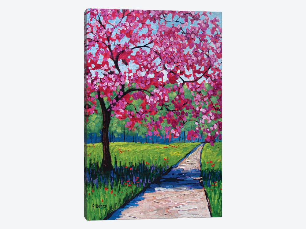 Pink Blossoms and Shadows II by Patty Baker 1-piece Art Print