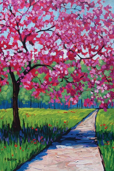 Cherry Blossoms: Pink Blossoms and Shadows II by Patty Baker
