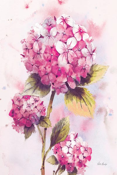 Patti Bishop: Hydrangea Pink II by Patti Bishop
