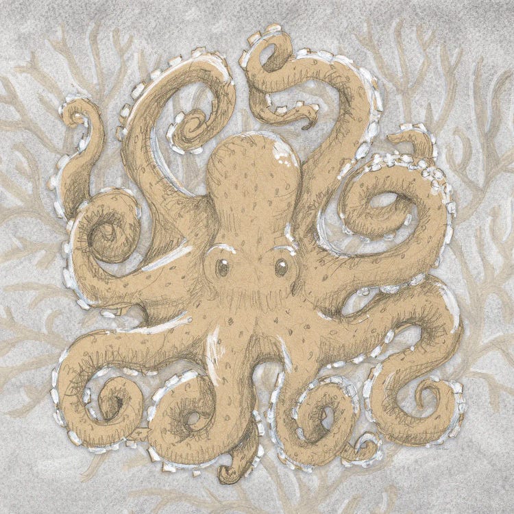 Octopus Drawing I